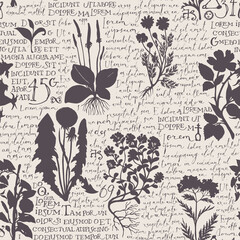 Seamless pattern with silhouettes of medicinal herbs and handwritten text Lorem Ipsum on a beige backdrop. Vector background on the theme of herbal medicine. Retro wallpaper, wrapping paper, fabric