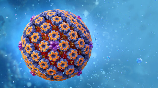 Herpes simplex virus cell model, herpesviridae family viral infection caused by the human herpes virus. Oral, lips, skin HSV-1 and sexually transmitted genital disease HSV-2, 3D medical science image