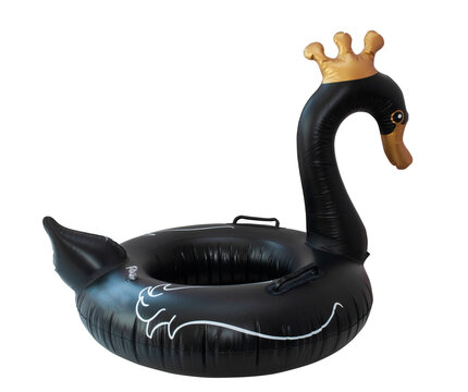 Beach inflatable swan. Pool black and gold  inflatable swan for summer beach isolated on white background. Trendy summer concept.