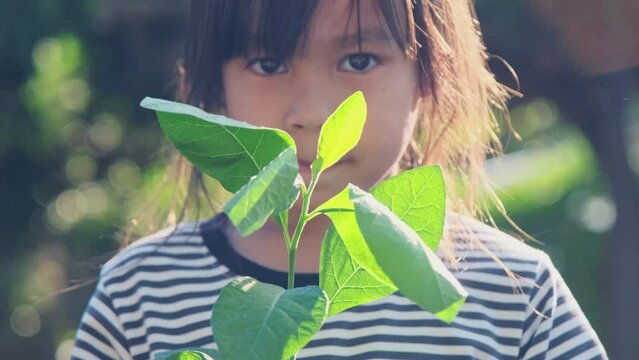 Cute asian little child girl holding young tree in pot against green background spring ecology concept. World environment day.