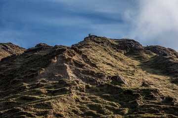 Sheep on the green Minaun cliffs on the coast of Trawmore Sand on Achill Island