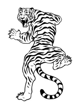 Hand Drawn Angry Tiger Black and White