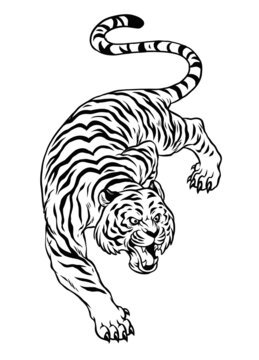 Hand Drawn Crouching Tiger in Black and White style