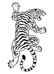 Hand drawn of tiger in Black and white