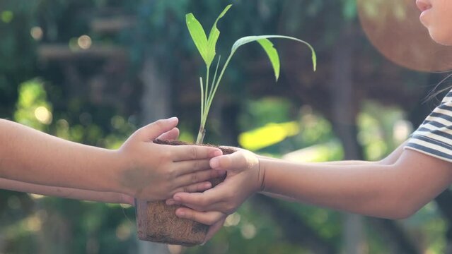 Cute little girl gives her sister a small plant in a pot with green background spring ecology concept. World Environment Day.