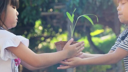 Cute little girl gives her sister a small plant in a pot with green background spring ecology concept. World Environment Day.