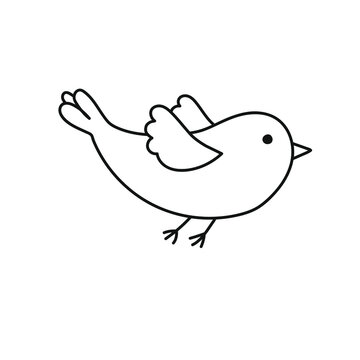 Simple vector bird, doodle monochrome illustration