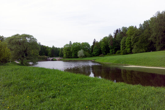 A green meadow with a forest and a river.