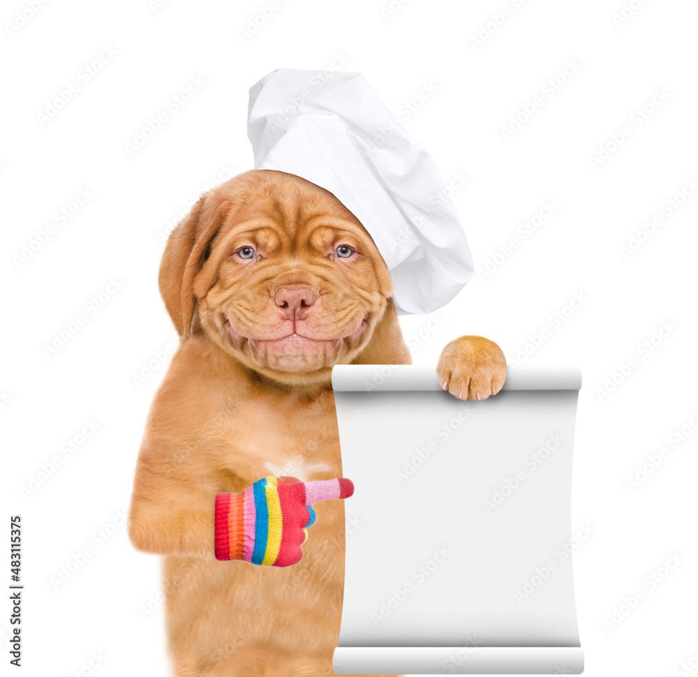 Poster happy mastiff puppy wearing chef's hat points on empty list. isolated on white background