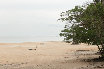 Fototapeta na wymiar Vista de uma praia localizada no Rio Tapajós, em Belterra, Pará