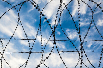 Barbed wire against the sky.