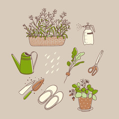 Gardening set. Vector illustration. Line art. Forget-me-nots, spray bottle, watering can, radishes, scissors, galoshes, potted strawberries - 483120107
