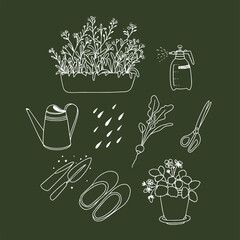 Gardening set. Line art with colors. Line art. Forget-me-nots, spray bottle, watering can, radishes, scissors, galoshes, potted strawberries - 483120111