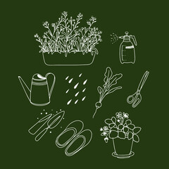 Gardening set. Vector illustration. Line art. Forget-me-nots, spray bottle, watering can, radishes, scissors, galoshes, potted strawberries - 483120114