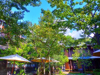 和歌山県田辺市にある廃校の校舎を利用した秋津野ガルテンの庭の木々の風景（コピースペース）