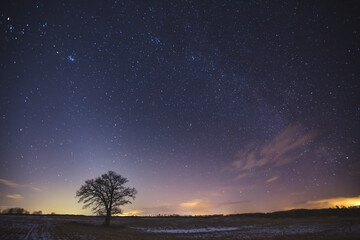 Fototapeta na wymiar Night landscape image with colorful milky way and zodiac light in the horizon