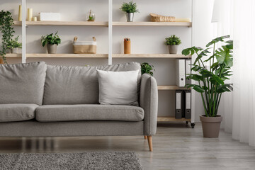 Modern living room interior with sofa, shelves, accessories and plants in pots at home