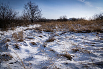 Field and hills covered with snow on a sunny winter day