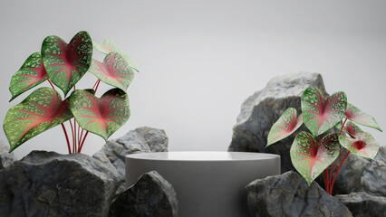 concrete podium with tropical plant for product display.