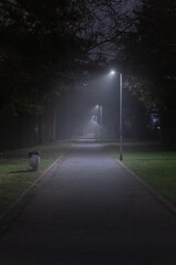 parkway in dark and foggy night
