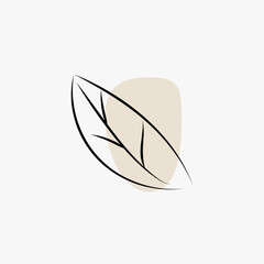 abstract line drawing of tropical leaves. Modern single line art. simple leaf boho art poster. Print vector illustration.