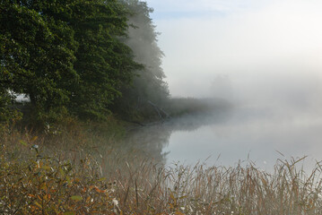 mist over the river