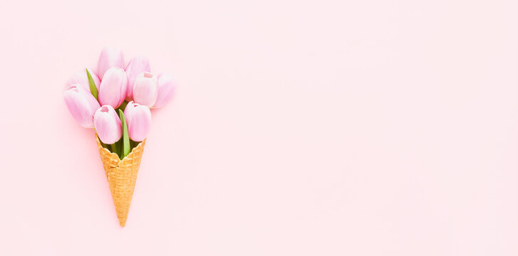 Pink tulips in a waffle ice cream cone on a pink background. Summer concept, banner