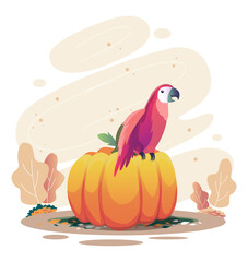 vector illustration of pumpkin and parrot