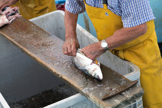 Pescatore al lavoro al mercato del pesce di mare