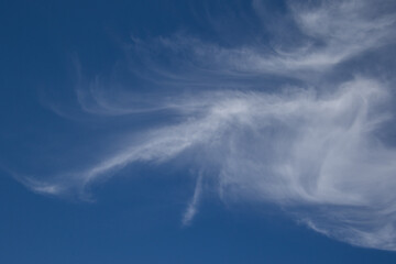 Fototapeta na wymiar Cloudscapes - shapes in the clouds