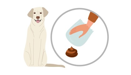 Human hand in transparent bag going to remove pet waste. Labrador retweaver sitting. Social responsibility. Animal excrement. Please Clean up after your dog sing. Flat vector illustration isolated.