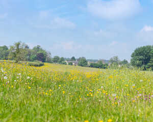 Summer Fields Cotswolds