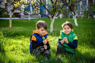 Fototapeta premium Kids on Easter egg hunt in blooming spring garden. Children searching for colorful eggs in flower meadow. Toddler boy and his brother friend kid boy play outdoors