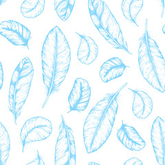 Feather seamless pattern. Hand drawn vector illustration. Sketch collection. Engraved style set.