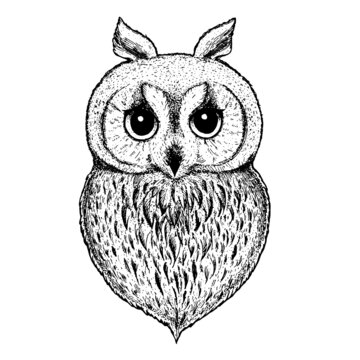 Cute owl vector illustration. Hand drawn sketch. Print design for t-shirt. Engraved style.
