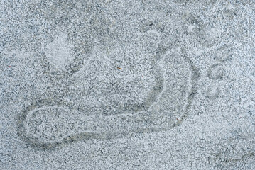 footprint in snow