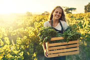 Grown better and it tastes better. Shot of a young woman holding a crate full of freshly picked...