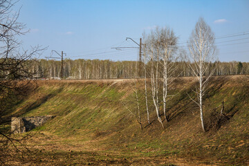 Countryside landscape with birches growing near a railway. Spring nature background