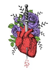 The human heart and roses is pierced with a dagger. Hand drawn vector illustration. Colorful illustration . Tattoo print.