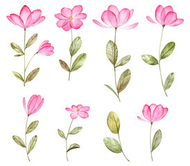 Set of cute pink blooming flowers isolated on white background. Florals for greeting cards, wedding invitations, design templates