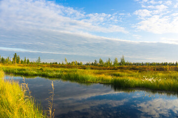 Forest tundra, blue sky reflection in the lake