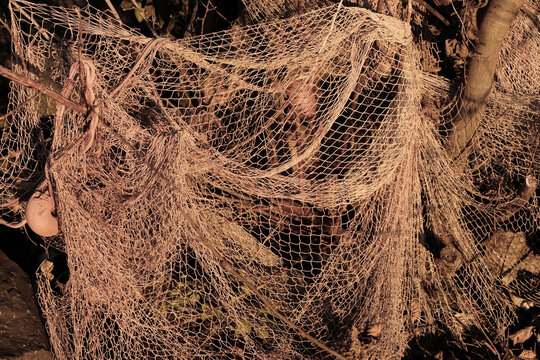 Close up view of background image with old fishing net