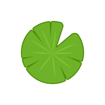 Lily pad icon. Lily cartoon vector on white background.