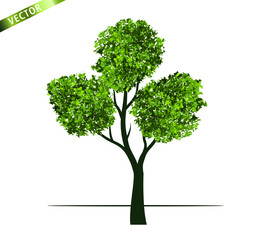 Fototapeta na wymiar Green Tree Isolated on White Background. Vector outline Illustration. 