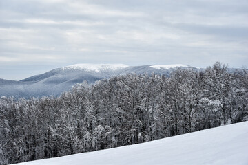 Piękny zimowy krajobraz górski, szadź na drzewach, Bieszczady, zima w górach, białe połoniny,...