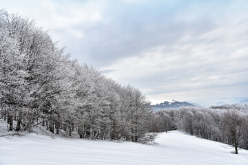 Piękny zimowy krajobraz górski, szadź na drzewach, Bieszczady, zima w górach, białe połoniny, góry zimą. Beautiful winter mountain landscape , rime, white meadows, mountains in winter.