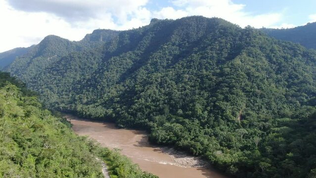 amazon basin: Pristine rainforest  filmed aerial by drone in tarapoto close to peruvian 