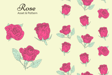 Hand Drawn Roses Flower and Free Pattern