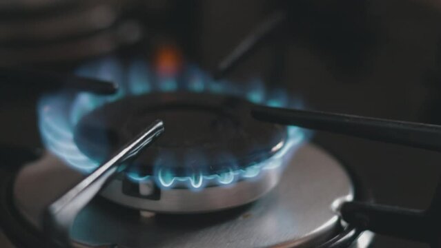 gas stove burner