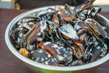 Mussels. Plate with mussels in sauce.